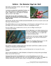Kolibris-Steckbrief.pdf